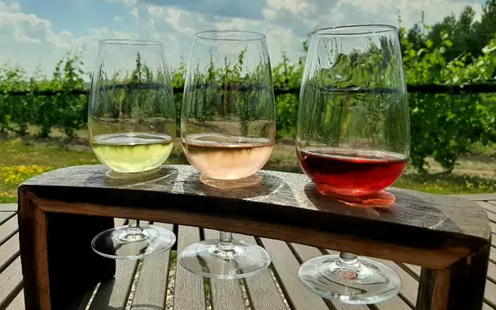 Test de dégustation de trois vins différents, posés sur un plateau d'envol.